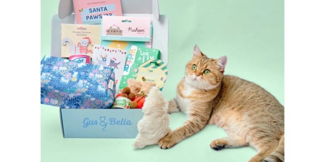 Christmas Presents For Cats Uk