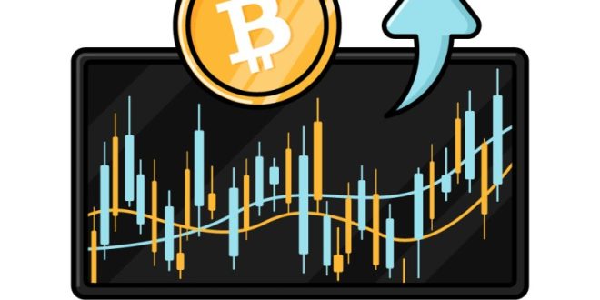 Crypto Trading Chart