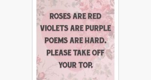 Cute Valentines Day Poems For Girlfriend