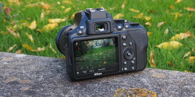 Professional Photo Camera For Beginners
