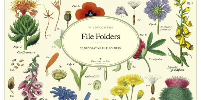 Update Floral Folder Review