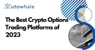 Best Options Trading Platform For Beginners