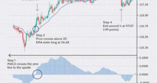 Crypto Trading Strategy Simulator
