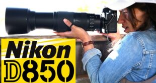 Which Nikon Dslr Is Best