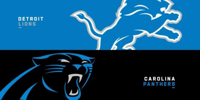 Panthers Vs Lions